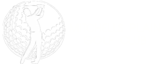 White transparent logo